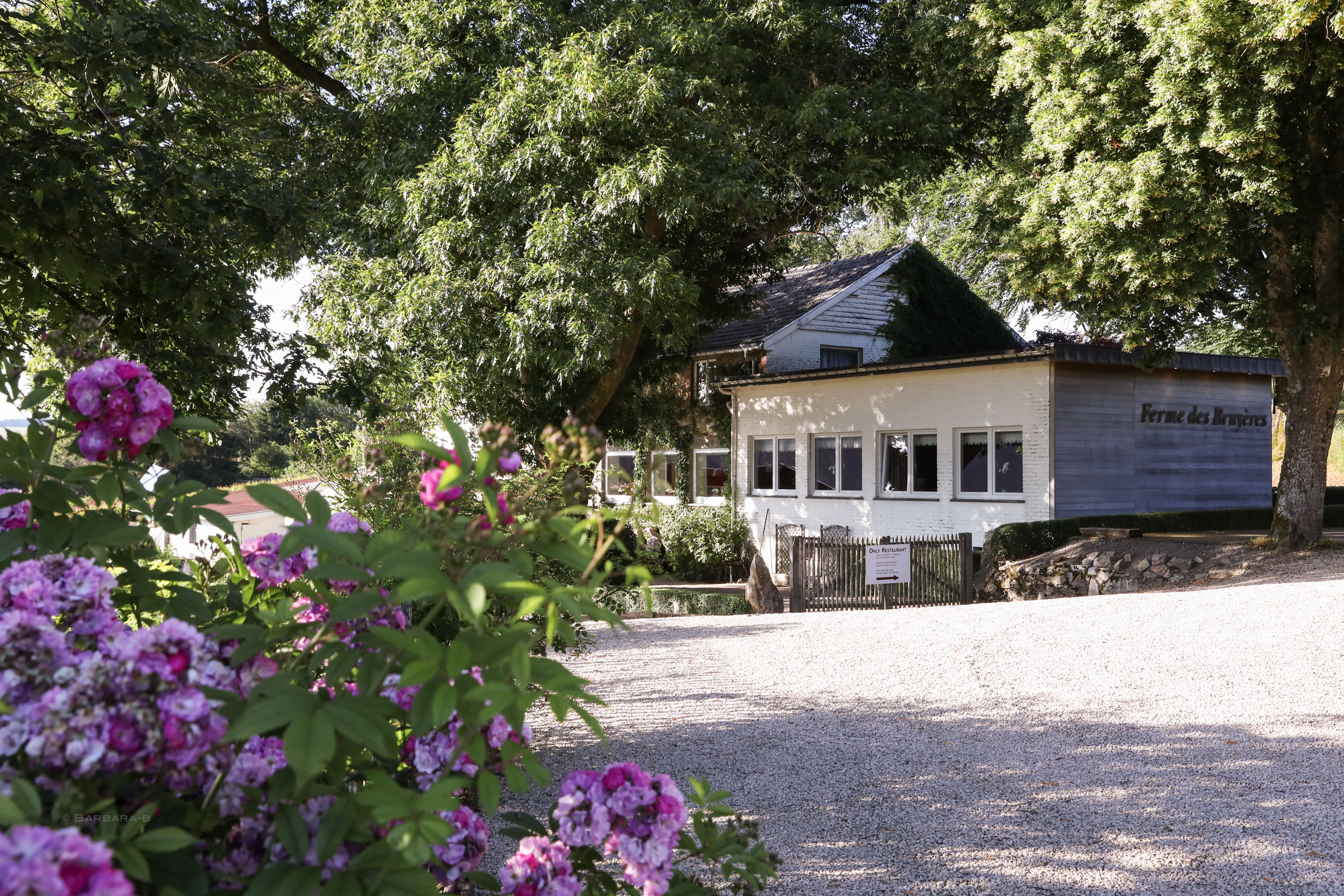 La Carte - La Ferme des Bruyères - photo 6