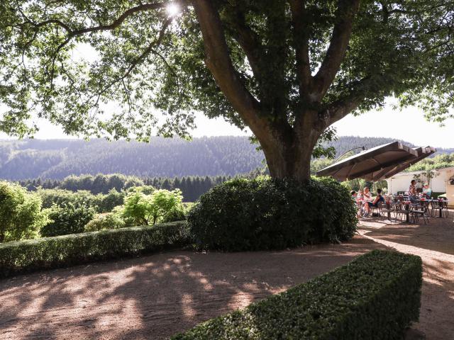 Galerie - La Ferme des Bruyères - photo 11