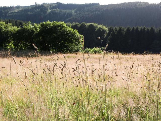 Galerie - La Ferme des Bruyères - photo 19